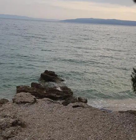 Nikolic 1 * ماكارسكا