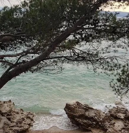 Lejlighed Nikolic 1