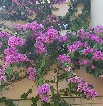 Lejlighed Nikolic 1 Makarska