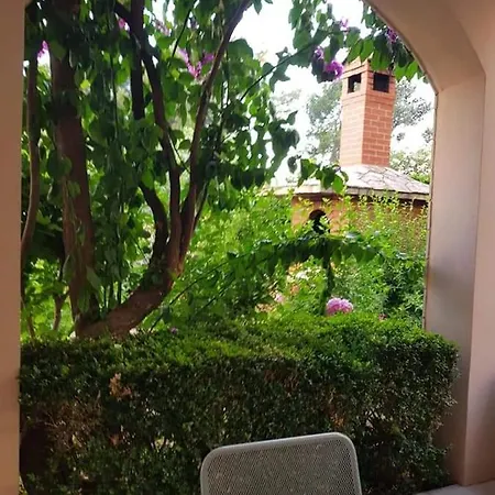 Nikolic 1 * Makarska